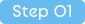 Step01